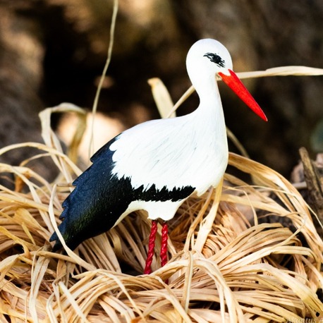 Yaren Leylek TOKA  (Ciconia ciconia)