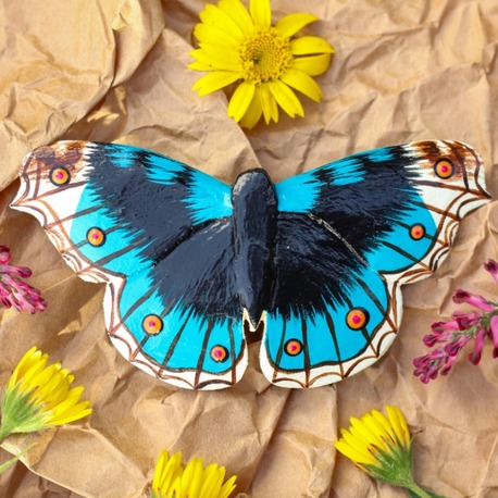 Dicle Güzeli Kelebeği TOKA (Junonia orithya)