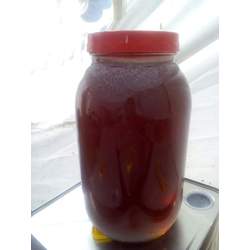 Sedir çam balı 5 kg 