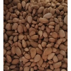 Kabuklu Badem - 3 Kg.