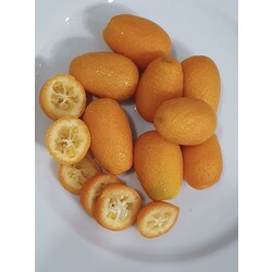 Kumkuat - 1 Kg.