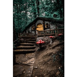 Hobbit House 20x30cm