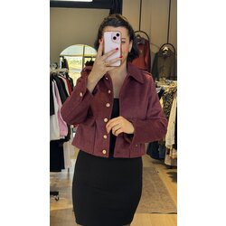 SOFT KISA KAŞE CEKET