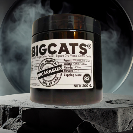 Bigcats Nicaragua SHB EP AAA Çekirdek Kahve 200 g