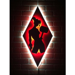 Dual Color Superhero Villain Illuminated LED Light Up Harley Quinn Silhouette