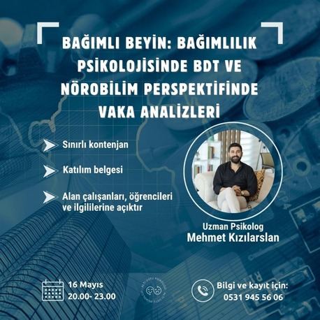 BAĞIMLI BEYİN: Bağımlılık Psikolojisinde BDT ve Nörobilim Perspektifinde Vaka Analizi