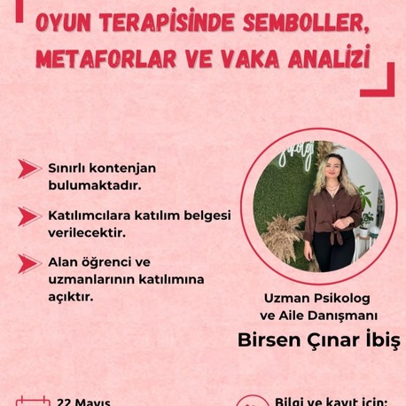 Oyun Terapisinde Semboller, Metaforlar ve Vaka Analizi