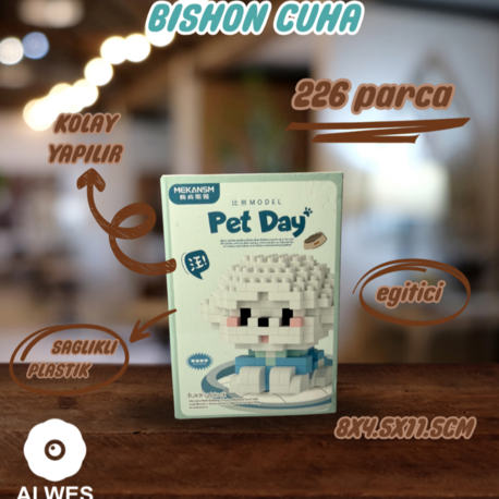 Bichon Cuha Köpeği