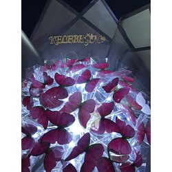 Plexsi yazılı kelebek buketi