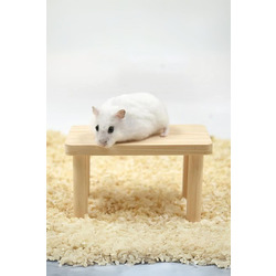 Hamster Ahşap Oyun Platformu - Kafes Aksesuarı ve Yem Standı