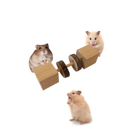 Doğal Ahşap Hamster Kemirme Oyuncak - Diş Sağlığı Bulmaca Besleyici
