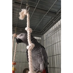Papağan Kuş Stres Halatı | 40 cm | Kuş Kafesi Aksesuarı