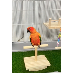Doğal Ağaç Kuş Oyun Platformu - Muhabbet Kuşu, Conure, Sultan Papağanı İçin Zeka Oyuncağı