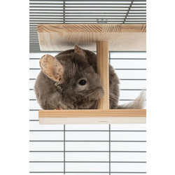 Çift Yüzlü Ahşap Platform – Çam 24.8 cm Genişlikli “Double-Sided Chinchilla Ledge”