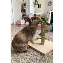 Bunny Tree – Ahşap Tavşan Foraging Oyuncağı, Doğal Çam, Zihinsel Uyarım
