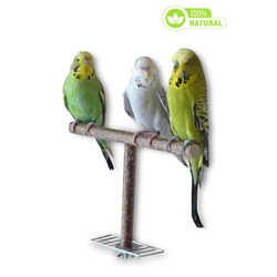 Kuş Standı Masa Üstü – Taşınabilir T-Stand, Küçük ve Orta Boy Papağanlar İçin Oyun Alanı