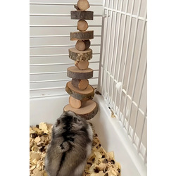 Doğal Karapaguianesis Ahşap Hamster Çiğneme Oyuncağı - Diş Taşlama Malzemesi