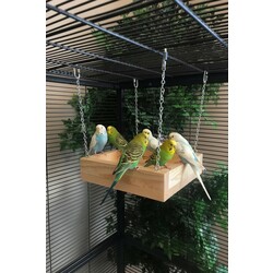 Çam Ahşap Chinchilla Salıncağı – 22,9 cm × 22,9 cm × 5,7 cm, Metal Zincirli