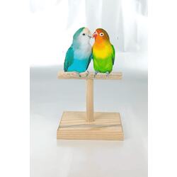 Ahşap Kuş Eğitim Standı Mini T