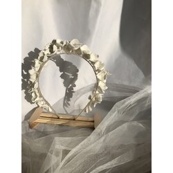 Royal crown 005