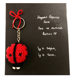 Uğur Böceği Anahtarlık