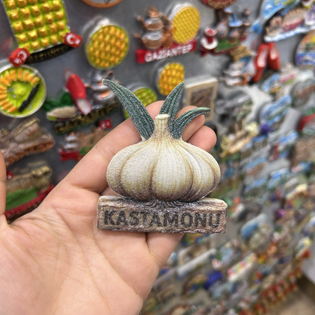Kastamonu Buzdolabı Süsü