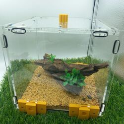 20x20x20 cm Outworld 