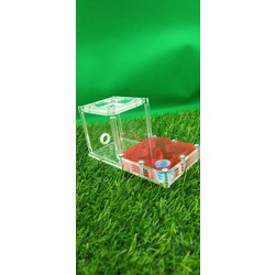 120x60x60 mm Pleksi Formikaryum