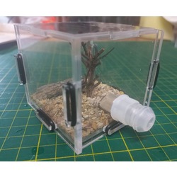 O211- 6x6x6 cm Outworld