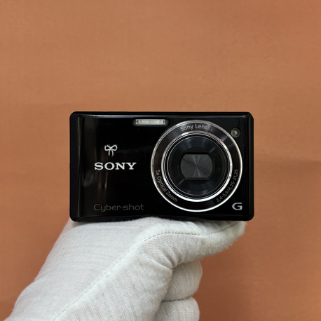 Sony Cyber-shot DSC-W390
