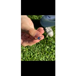 Pandora Gümüş Yüzük