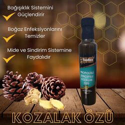 Toobee Propolis Zencefil Ve Kozalak Özü 350gr
