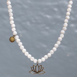 AYTAŞI VE LOTUS ÇİÇEĞİ