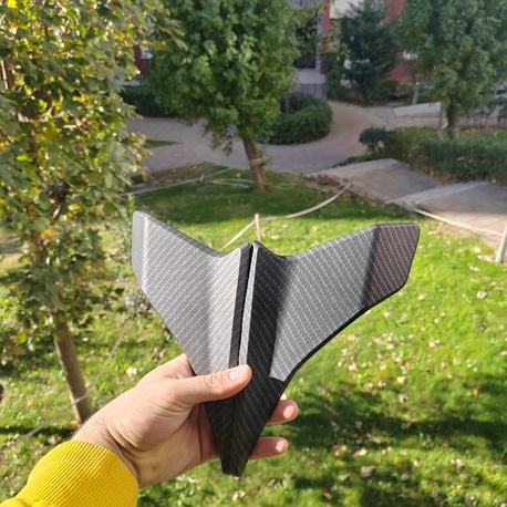 250SR Winglet Orj 