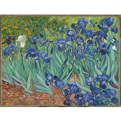 İrisler - Vincent van Gogh