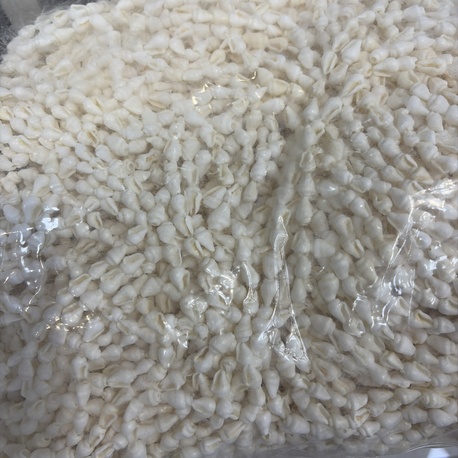 Kabuk dızılı 