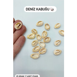 50 gram 34 adet civarı deniz kabuğu