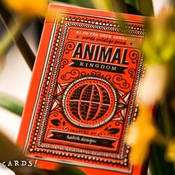 Animal Kingdom by Theory11