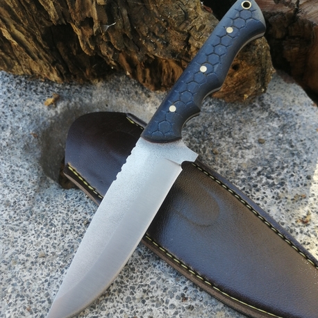 BS113