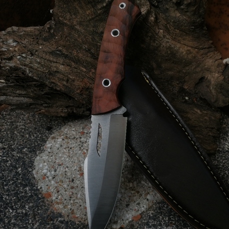 BS141