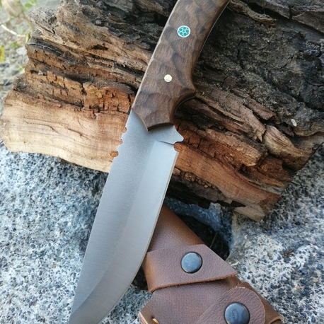 BS124