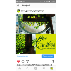 Organik  Yeşil Kırma Çizme Zeytin
