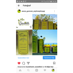 Organik Doğal Zeytinyağı (5 Lt)