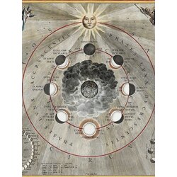 Astrolojik İş ve Marka Danışmanlığı
