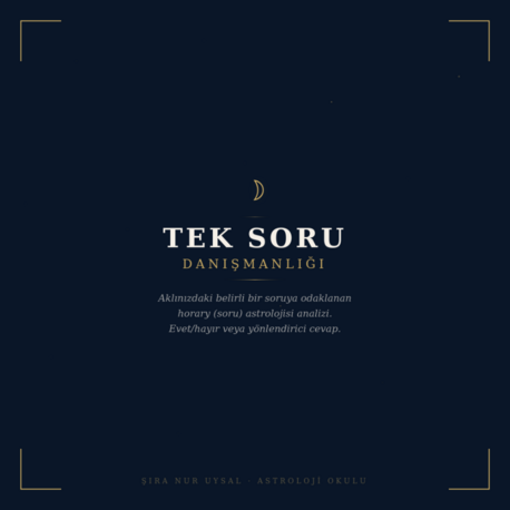 TEK SORU DANIŞMANLIĞI