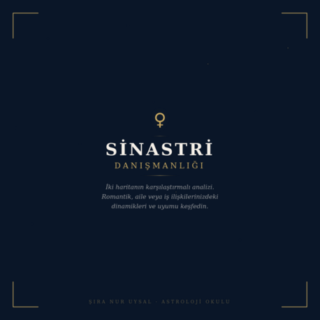 SİNASTRİ DANIŞMANLIĞI
