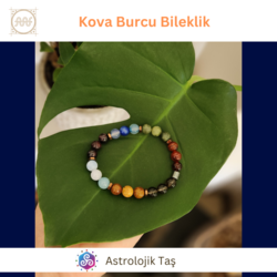 Kova Burcu Bilekliği