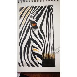 zebra resmi - suluboya 