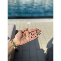 Deniz Yıldızı Küpe 