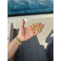 Deniz Yıldızı Küpe 